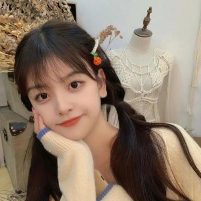 候鸟之爱